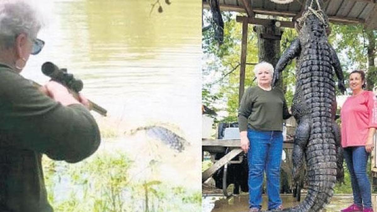 Belediye başkanı atını yiyen timsahı öldürdü
