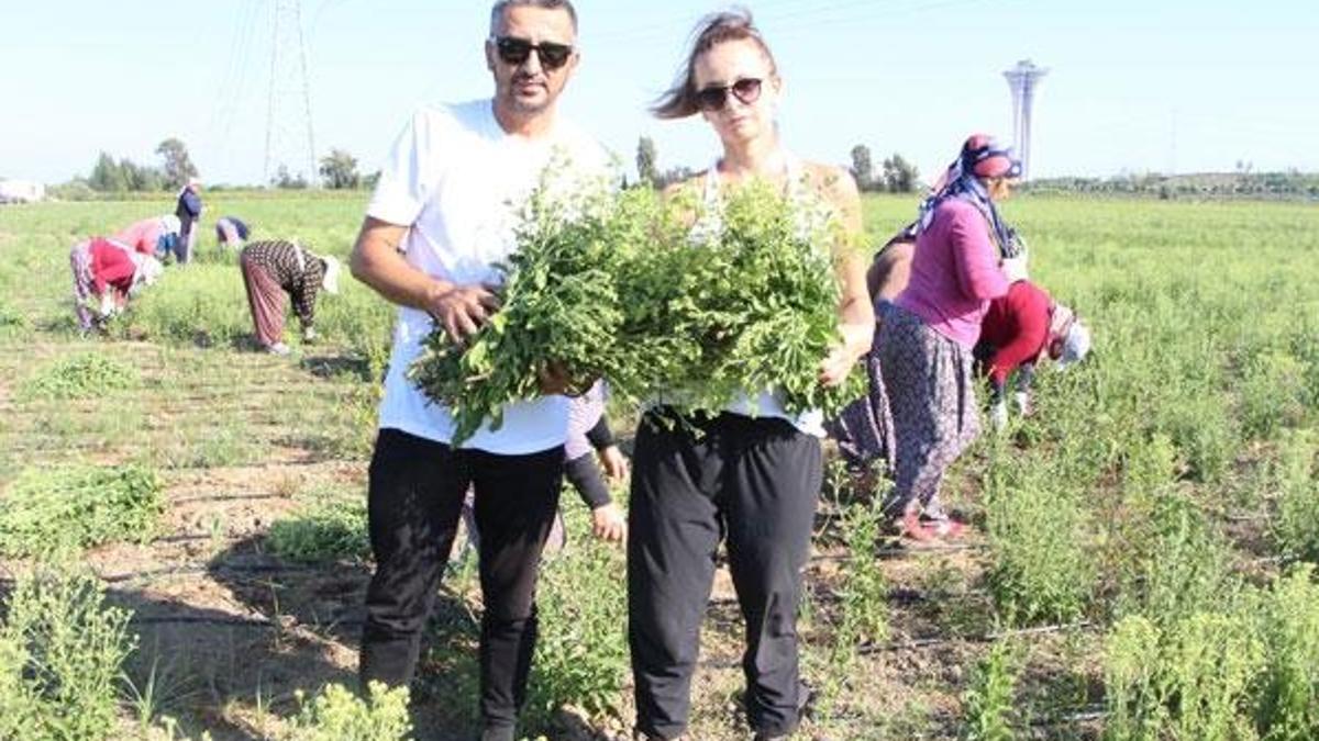 Mesleğini bıraktı, kilosunu 100 dolardan satıyor