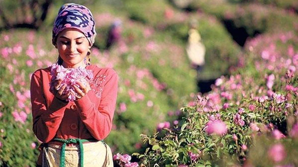 100 bin liralık tarla  100 liraya kiralık