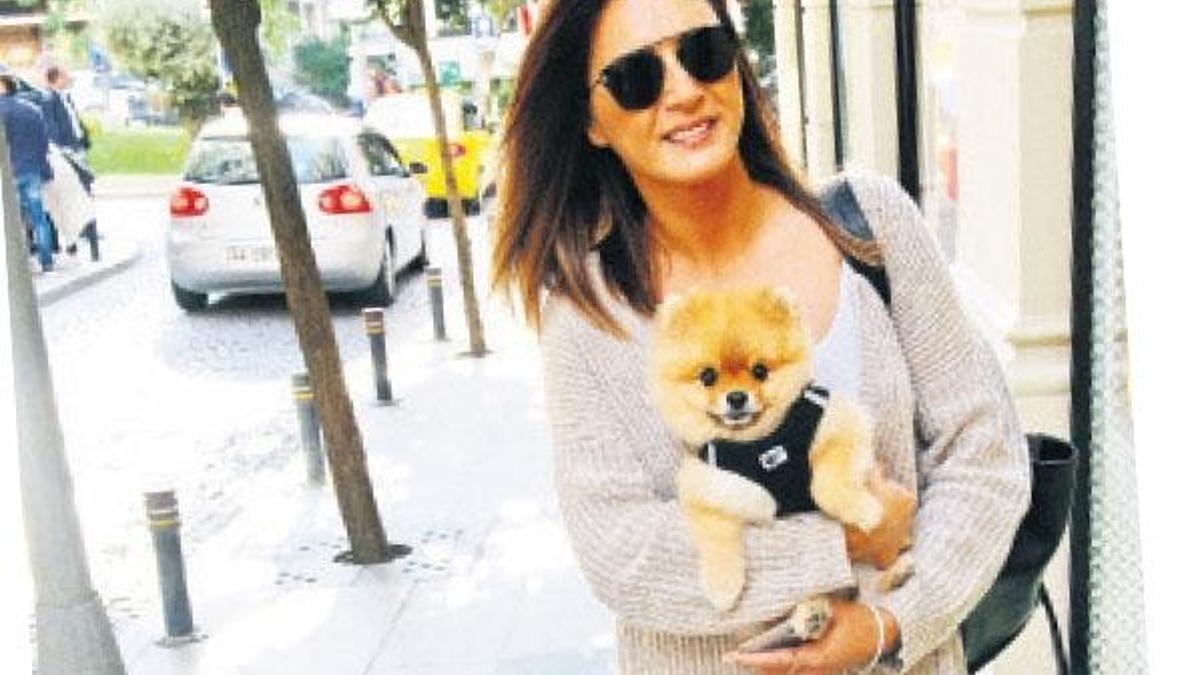 Köpeğe kameralı koruma