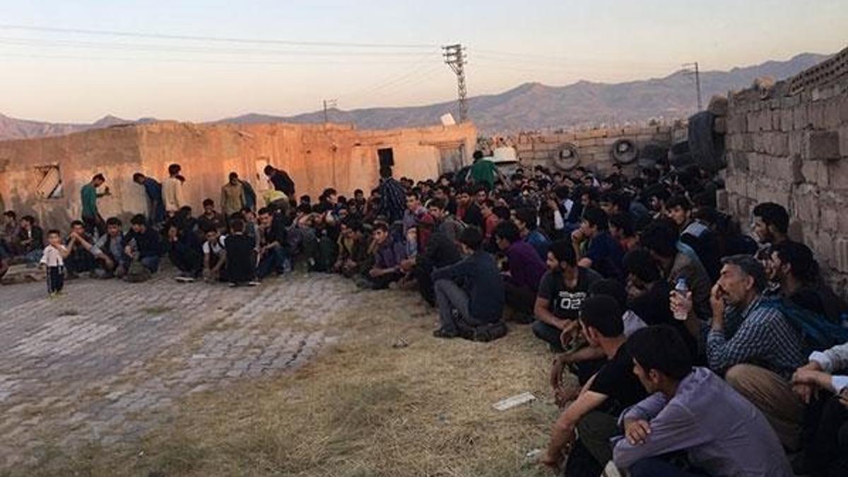 Müstakil evde 250 kaçak yakalandı