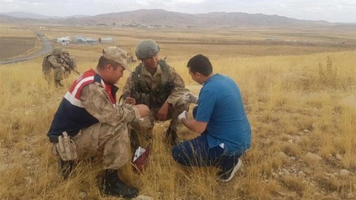Askerler kırmızı listede bulunan 'Arap Tavşanı' buldu