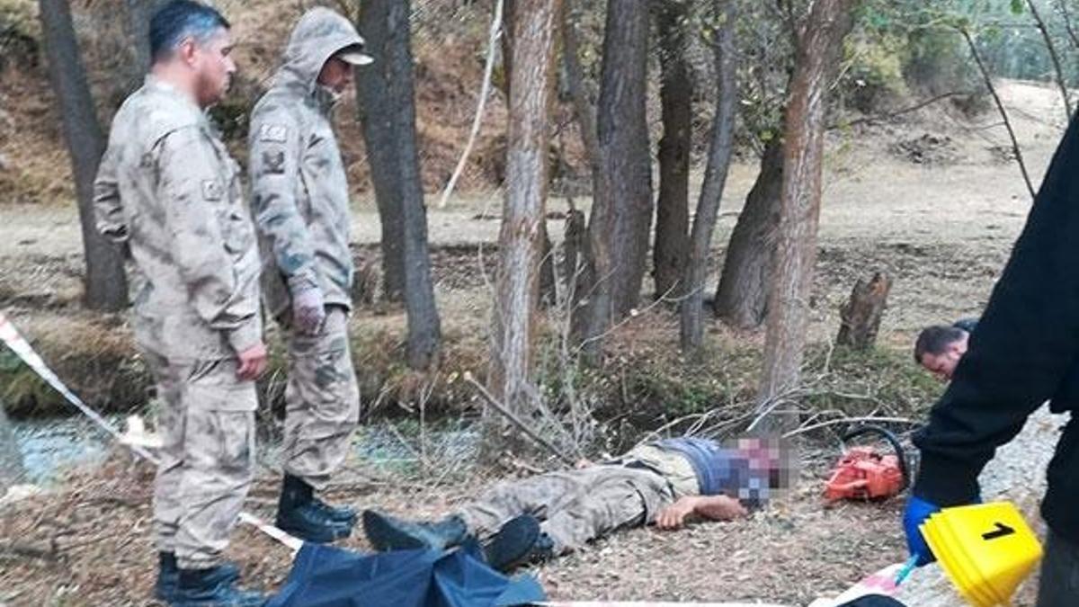 Kestiği ağacın altında kalarak öldü