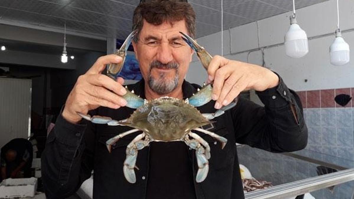 Karadeniz'de mavi yengeç şoku