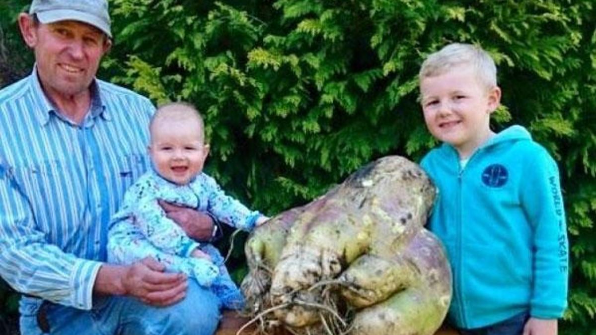Avustralyalı çiftçi 18,36 kilogramlık turp yetiştirdi