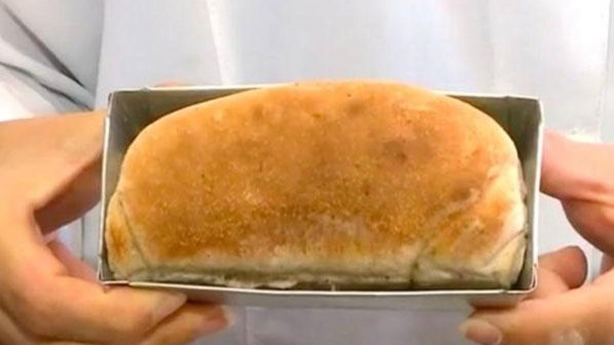 Kırmızı etten fazla protein içeren hamam böcekli ekmek