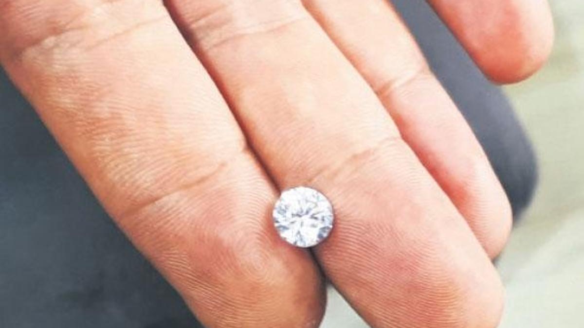 Kolonoskopi  ile çıkarıldı