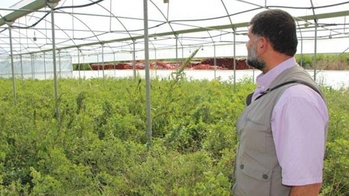 Rüyasındaki gizemli sesi dinledi ve hayatı değişti