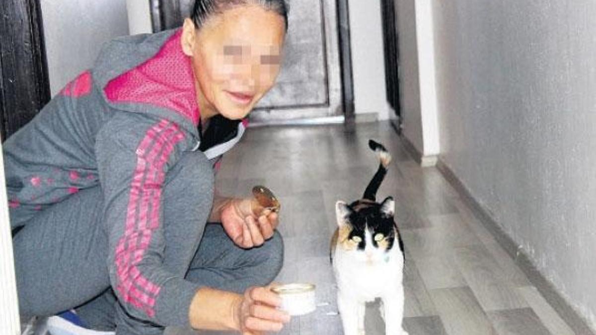 Hayvanlara bakıyoruz diye genelevden attılar
