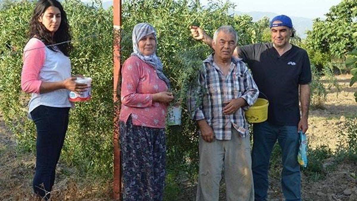 Goji berry yetiştiren çift, siparişlere yetişemiyor