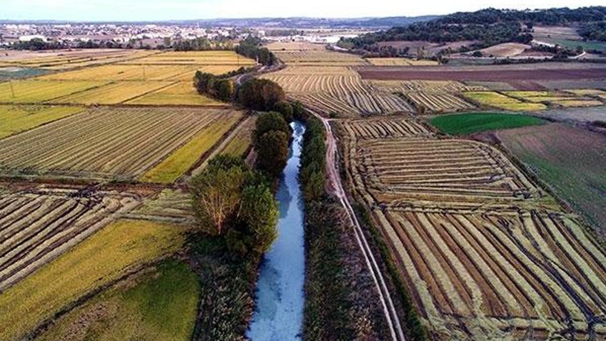 Meriç Deresi, fabrika atıklarıyla kirli akıyor iddiası