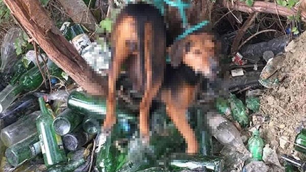 Köpeği ağaca bağlayıp tecavüz ettiler