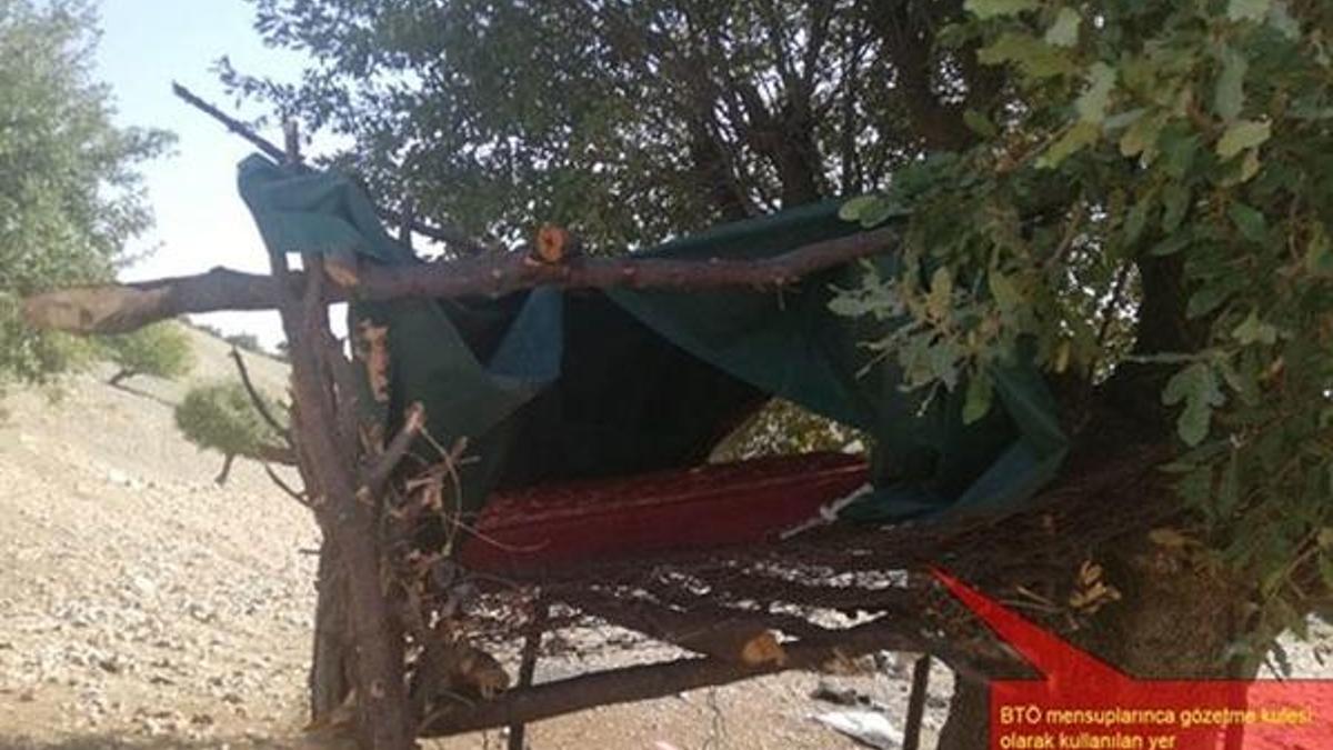 PKK'lı teröristler ağaçta brandayla gözetleme kulesi yapmış