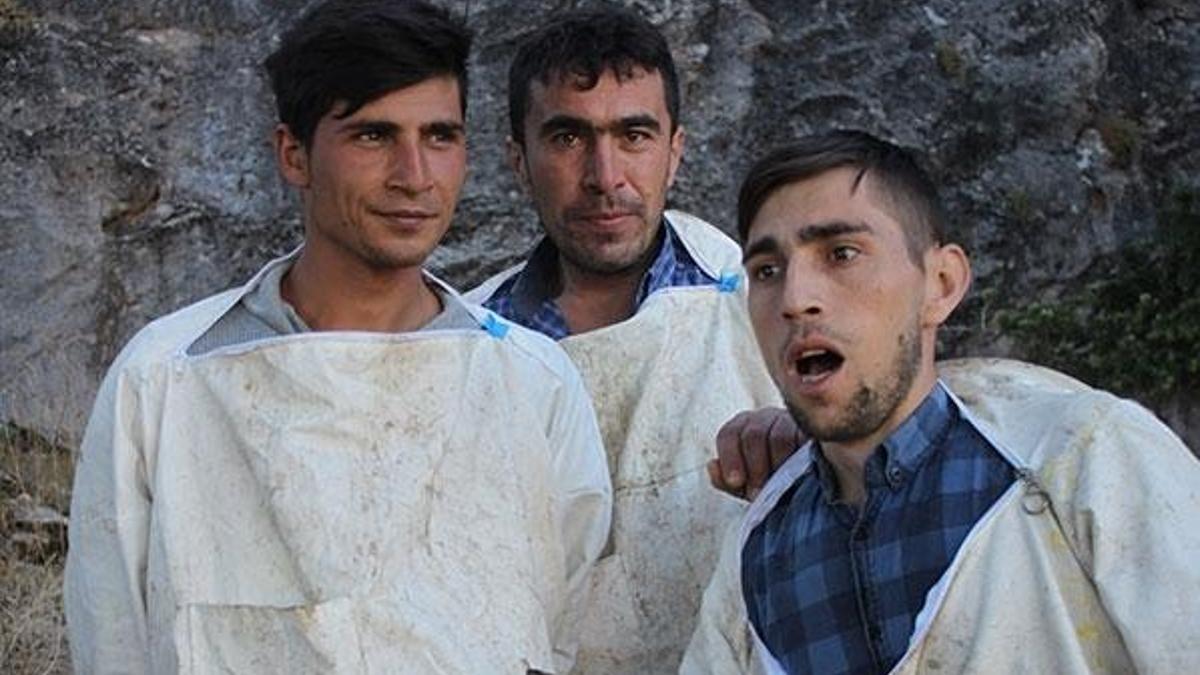 Ormandan 125 bin lira kazandılar
