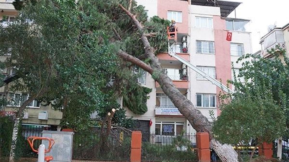 Aydın’da fırtına hayatı olumsuz etkiledi