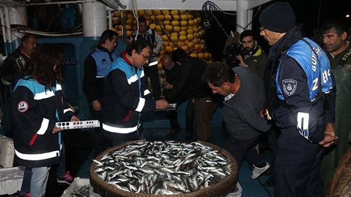 İstanbul'da "balık boyu" denetimi