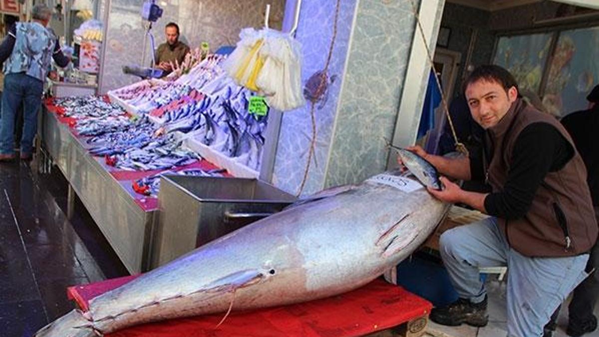 200 kiloluk dev orkinosa bir bakan bir daha baktı