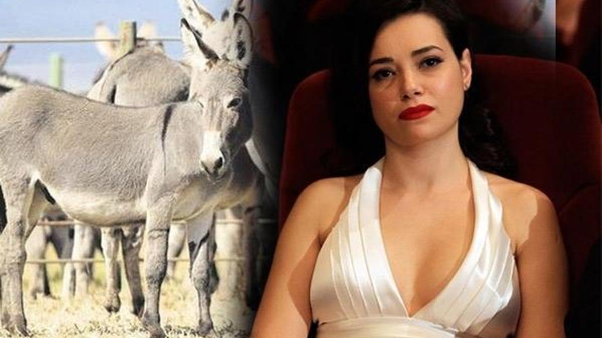 Özgü Namal'ın yeni mesleği şaşırttı!