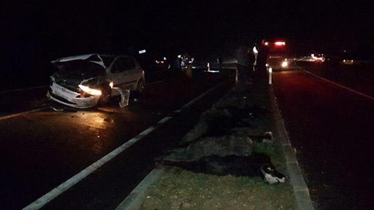 Hatay’da otomobil sürüye daldı: Onlarca hayvan telef oldu