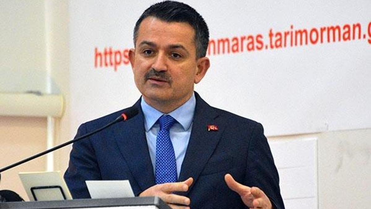 Pakdemirli'den "balık tüketelim" çağrısı