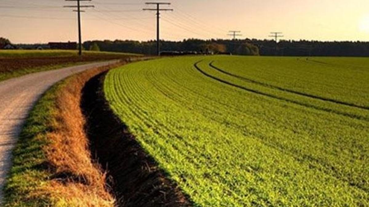 Tarım ÜFE ekim ayı rakamları açıklandı