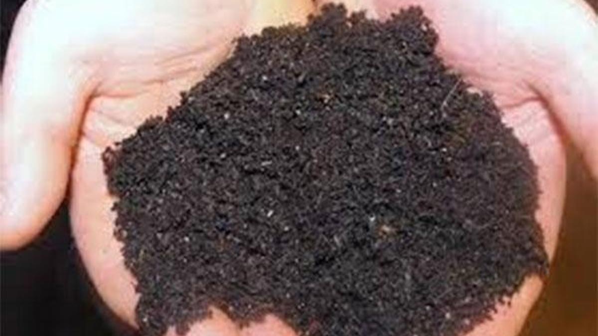 "Solucan gübresi" ev hanımının iş kapısı oldu