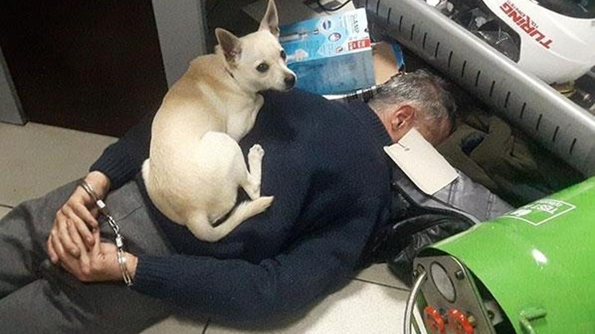 Tesisatçılık yapan torbacı suçüstü yakalandı