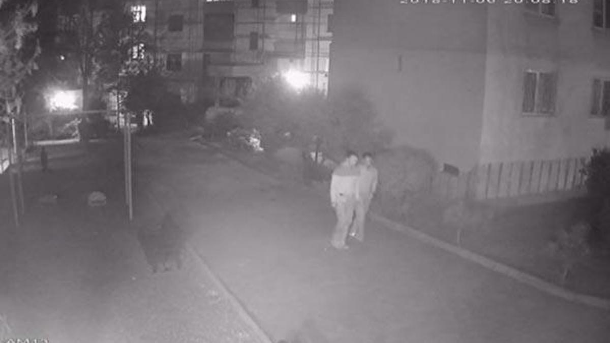 Hırsız kardeşler çetesi çökertildi!