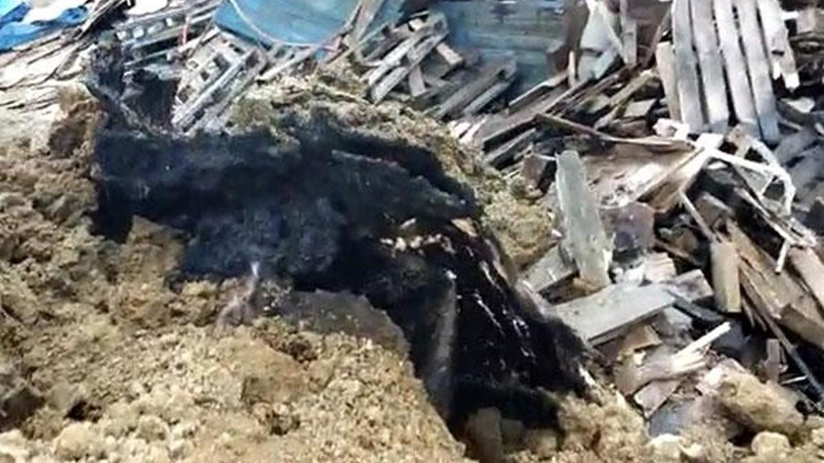 Tuzla'da kimyasal atık alarmı!