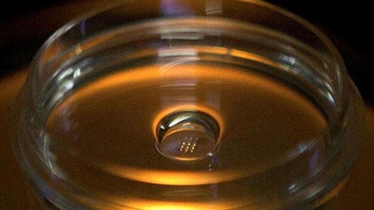 'Çin’de bebeklerin genetiği değiştiriliyor'