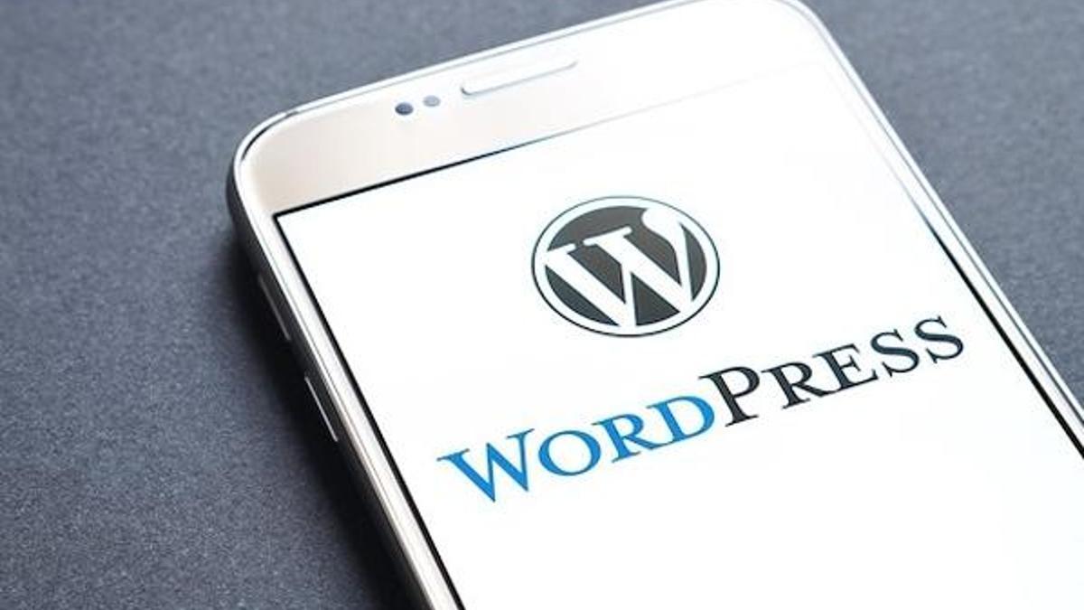 Wordpress'te korkutan güvenlik açığı