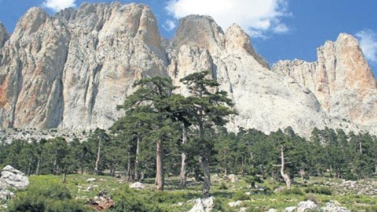 Dedegöl'de mutlu son