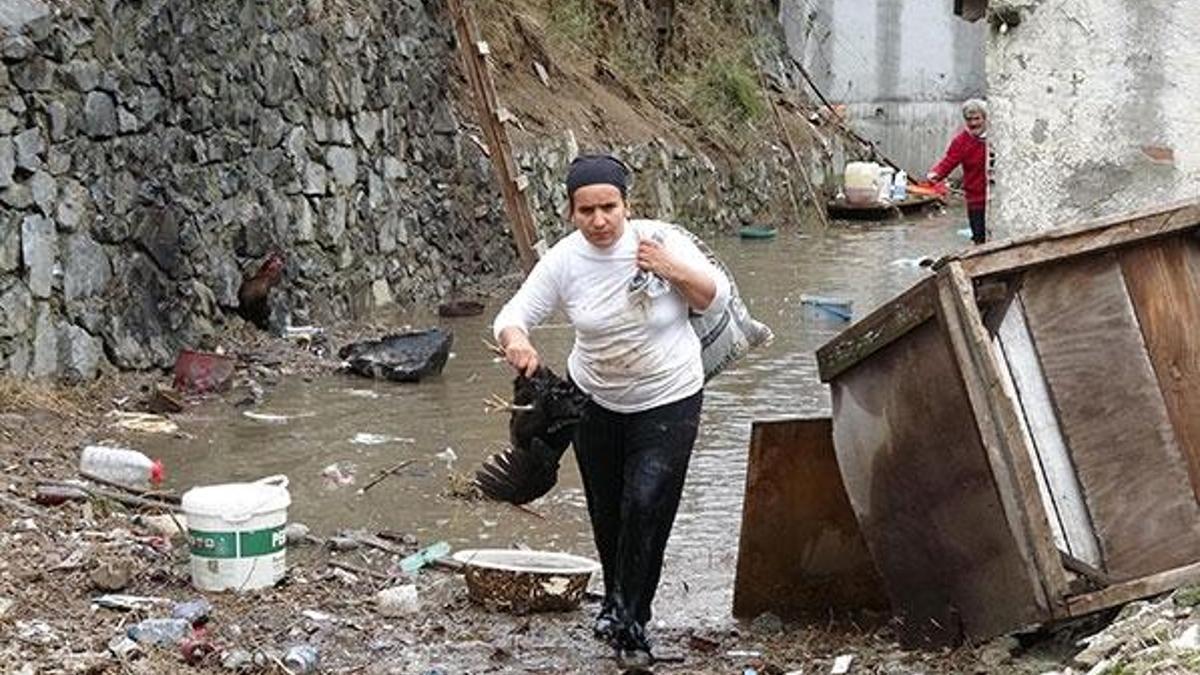 Su bastı, hayvanlar telef oldu