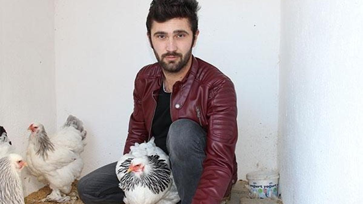 Altın yumurtlayan tavuk! Tanesi 40 TL