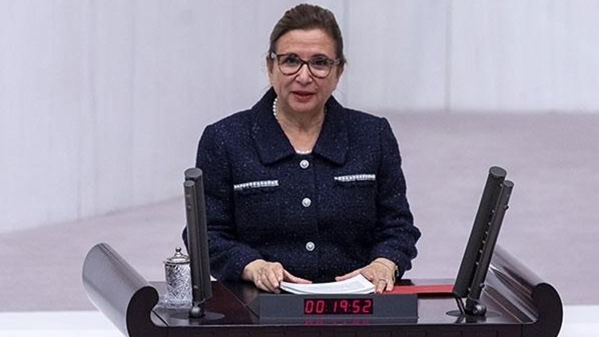 Kapıkule'deki TIR kuyruklarıyla ilgili flaş açıklama