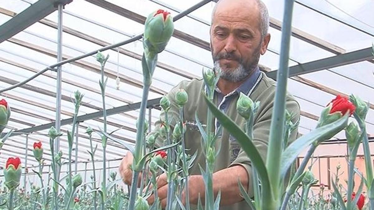Günlük 200 liraya çalışacak işçi bulamıyorlar