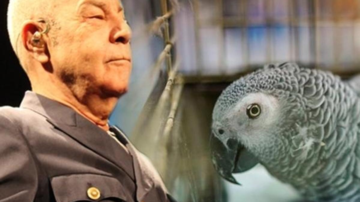 "Babayiğitler ölmüş, Türkiye papağanı konuşuyor"