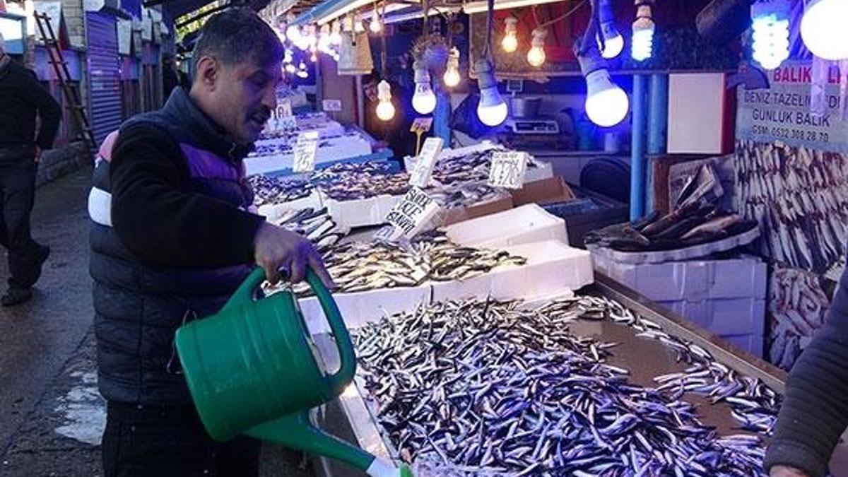 Hamsi için son 1,5 ay