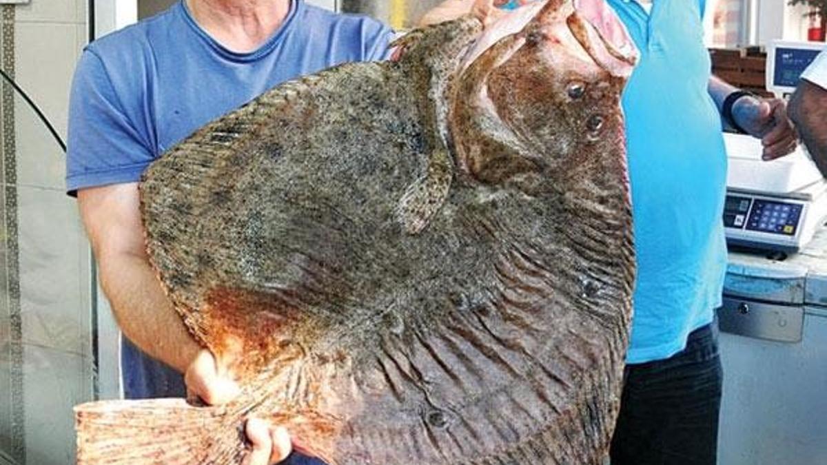 Büyük tepki geldi: Geri çekildiler