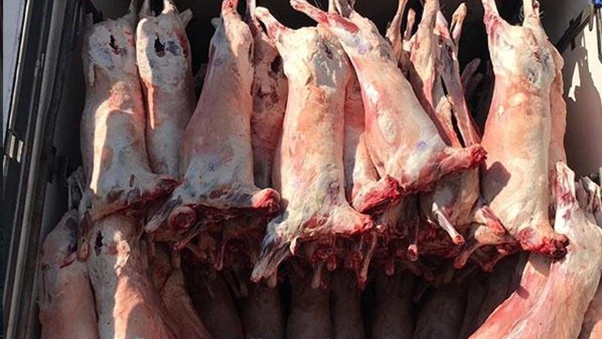 Konya'da 12 ton kaçak et ele geçirildi