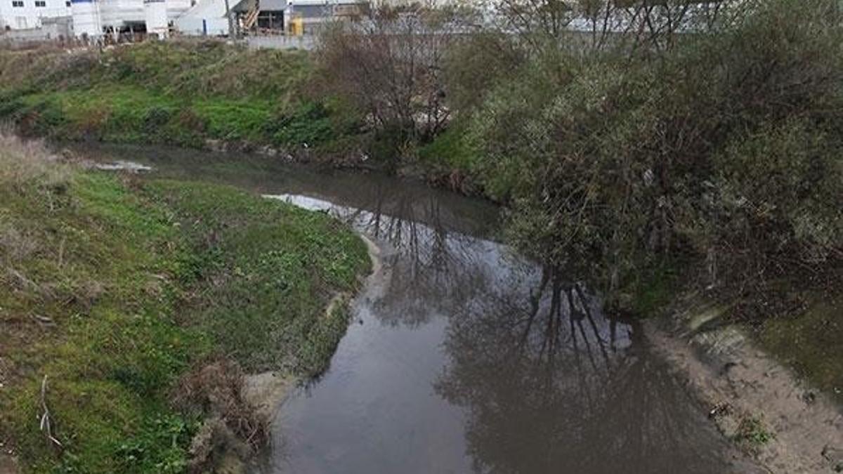 Çorlu Deresi'ni griye boyayan firmalara ceza yağdı