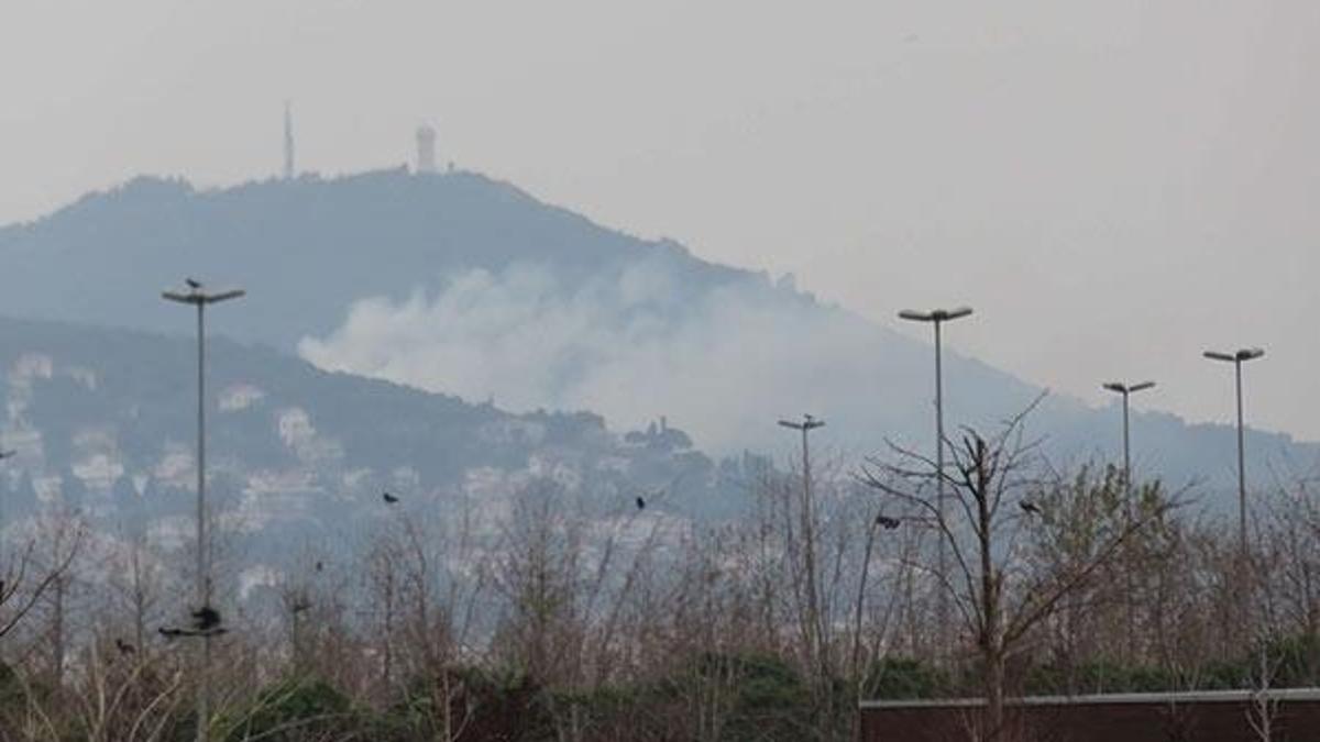 Son dakika: Büyükada'da orman yangını