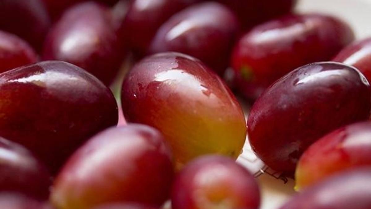 Kırmızı üzümün bilinmeyen 10 mucizevi etkisi