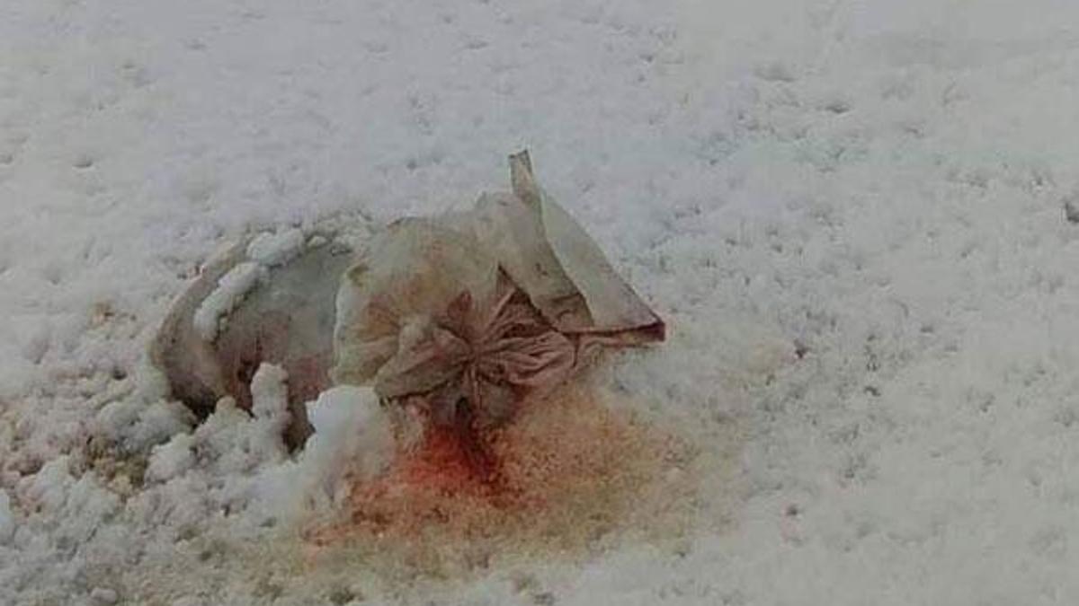 Srebrenitsa'da çirkin saldırı!
