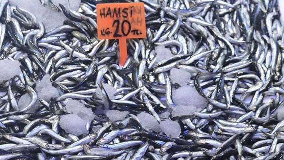 Hamsinin fiyatı el yakıyor