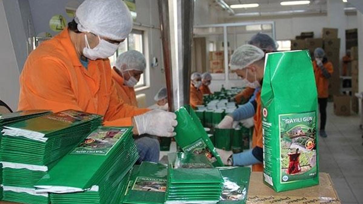 Cezaevinde, 'Sayılı gün' çayı üretiliyor, yok satıyor
