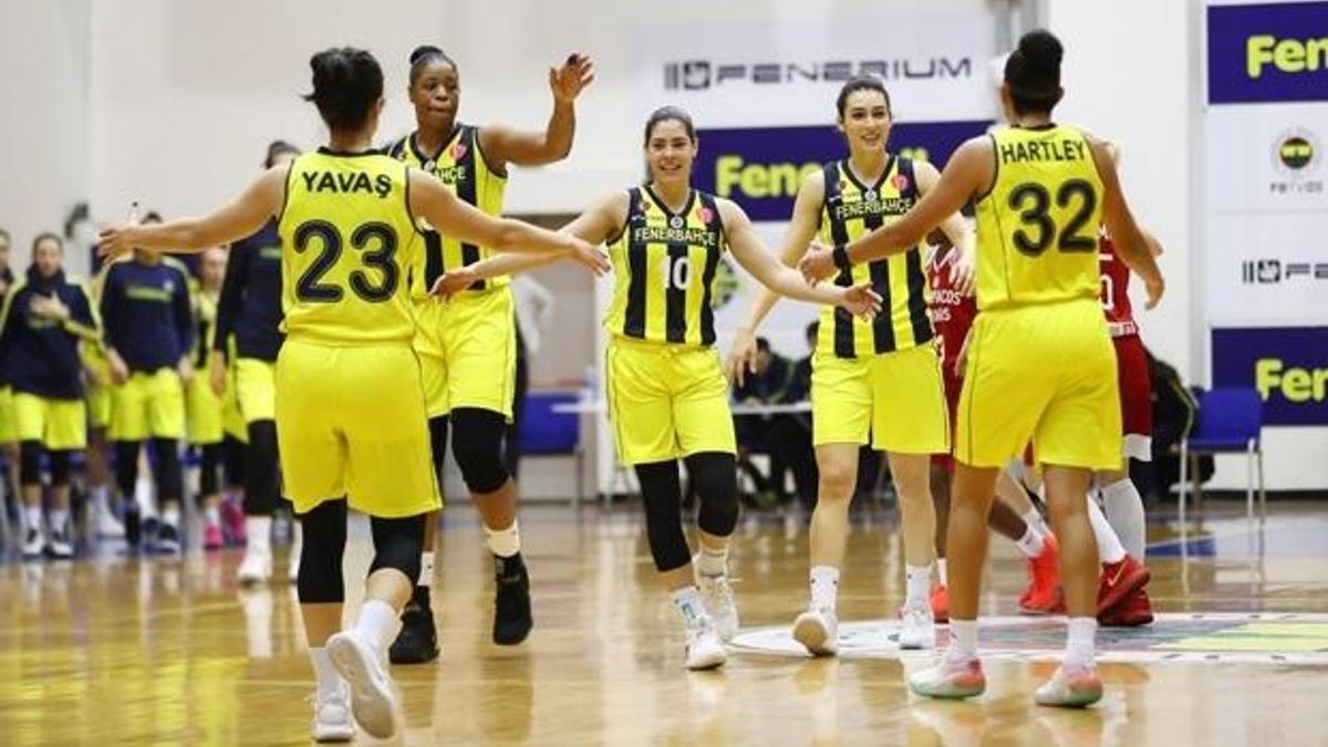 Fenerbahçe, evinde Olympiakos'u devirdi