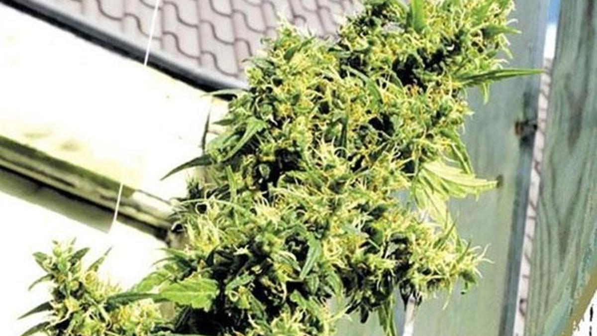 Cumhurbaşkanı'nın çıkışından sonra binlerce yatırımcı harekete geçti!