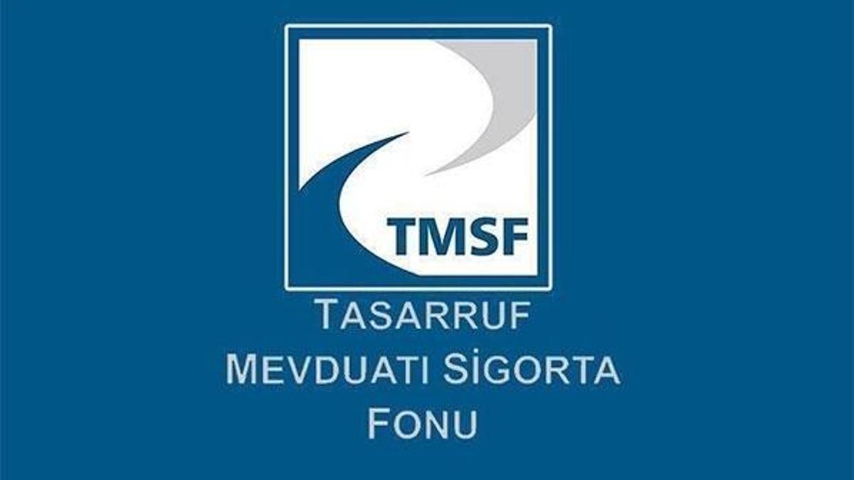 TMSF iki şirketi satışa çıkardı