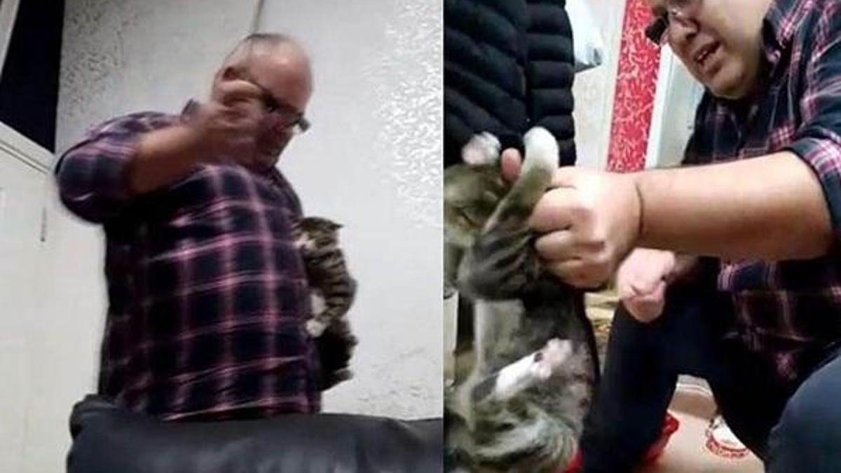 Kediye işkence yapan iş adamı akıl hastanesine sevk edildi